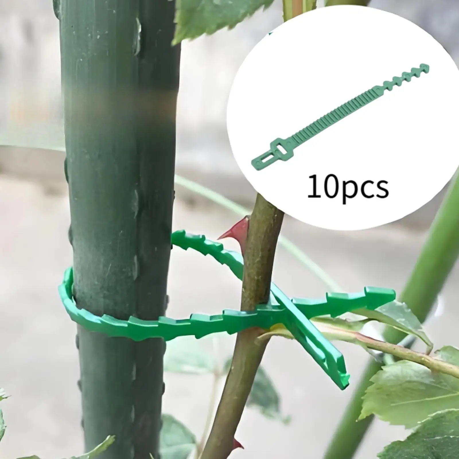 10x принадлежности для галстуков для растений, прочные портативные многофункциональные ленты для кольев для деревьев, ремни для поддержки растений для двора, лужайки, розы, уличного патио
10x принадлежности для галстуков для растений, прочные портативные многофункциональные ленты для кольев для деревьев, ремни для поддержки растений для двора, лужайки, розы, уличного патио