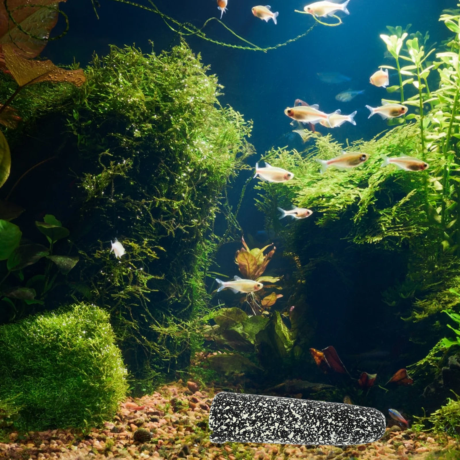 Aquarium Shrimp Habitat Cave Ceramic Decorative Breeding Shelter Visual Appeal Hideout for Minnows Fun Tank Transformation
Aquarium Shrimp Habitat Cave Ceramic Decorative Breeding Shelter Visual Appeal Hideout for Minnows Fun Tank Transformation