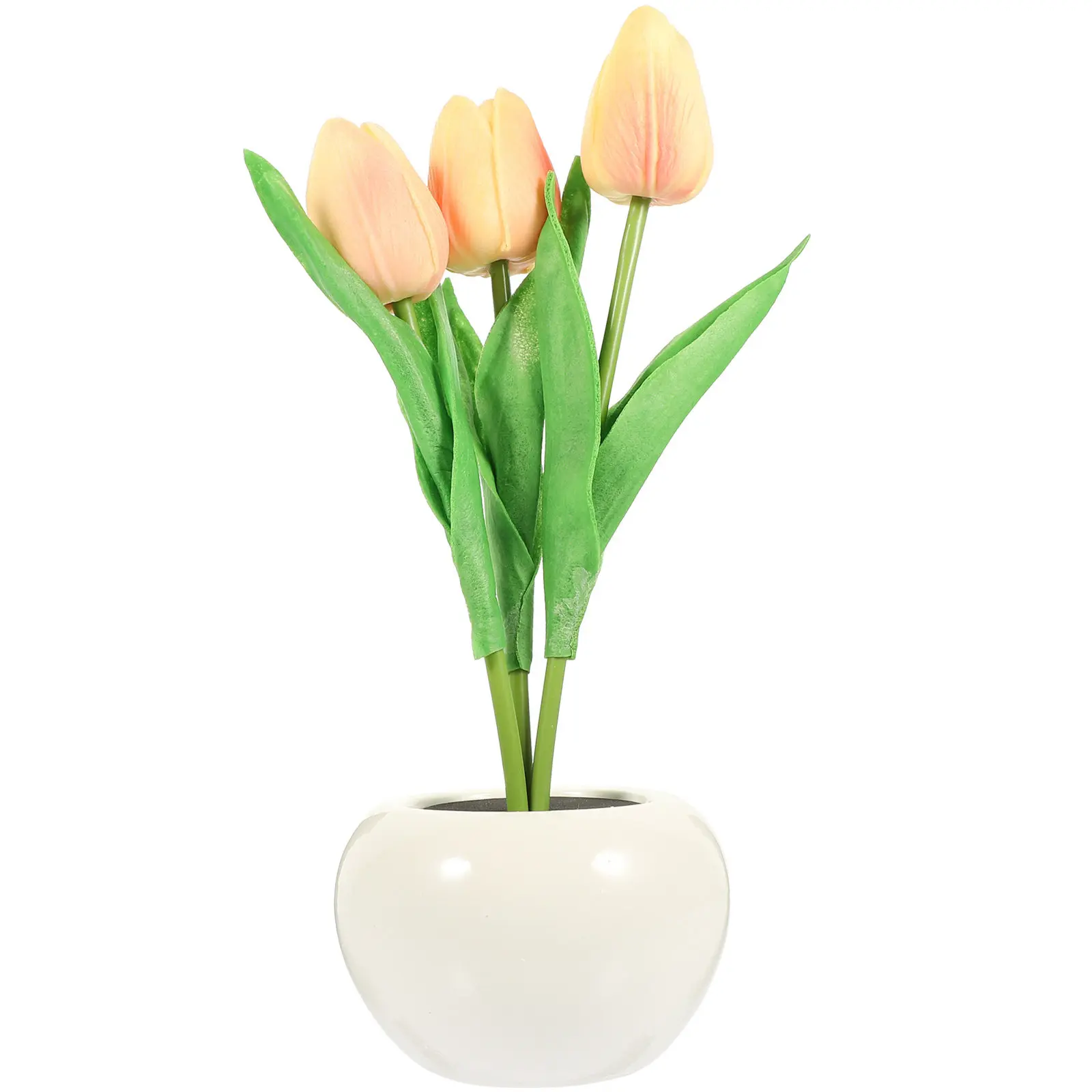 LED Tulip Night Light Ceramic PU Creative Tabletop Bedroom Decor Romantic Warm Night Lamp Flower Light LED Flower Bed Decor
LED Tulip Night Light Ceramic PU Creative Tabletop Bedroom Decor Romantic Warm Night Lamp Flower Light LED Flower Bed Decor