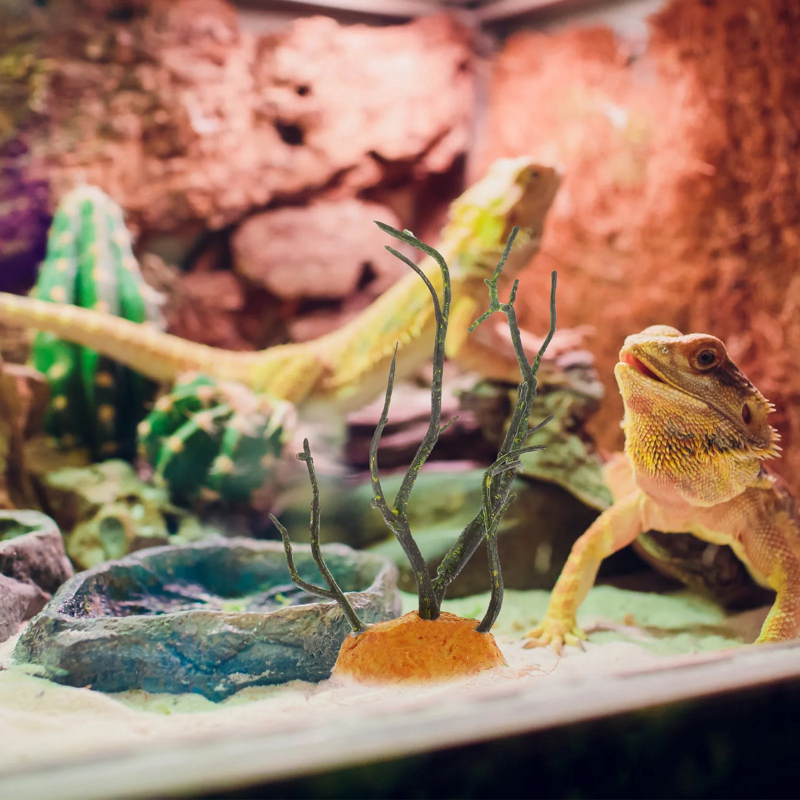 Fake Plant Reptile Habitat Decor Plastic Artificial Plant for Fish Tank Terrarium Landscape Plants Reptile Plants 
Fake Plant Reptile Habitat Decor Plastic Artificial Plant for Fish Tank Terrarium Landscape Plants Reptile Plants