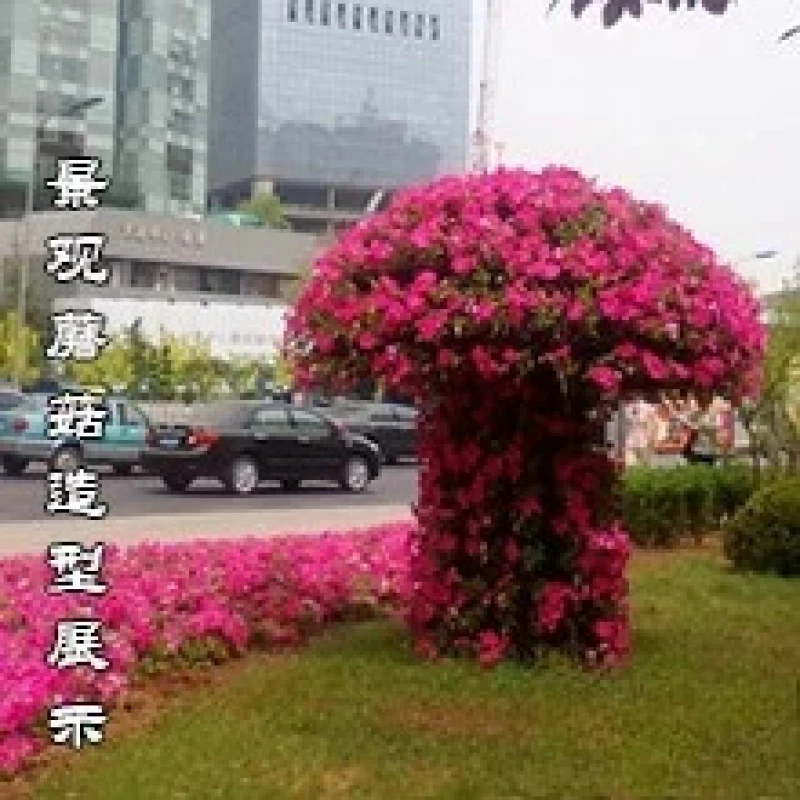 Small Three-Dimensional F Bed Skeleton Shape, Including Matching F Pots, Combination F
Small Three-Dimensional F Bed Skeleton Shape, Including Matching F Pots, Combination F