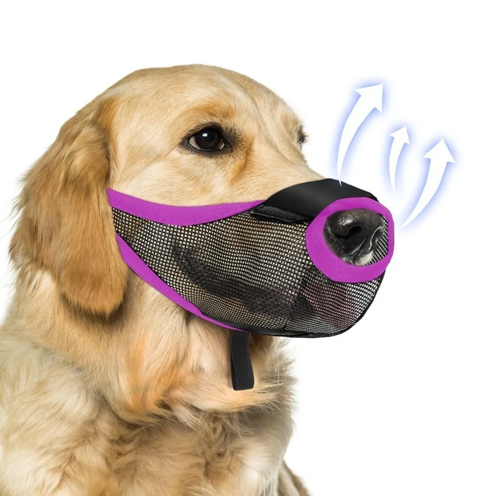 Soft Mesh Dog Muzzle Adjustable Prevents Biting Pet Muzzle Breathable with Nose Frontopening Dog Mouth Cover for Most Dogs
Soft Mesh Dog Muzzle Adjustable Prevents Biting Pet Muzzle Breathable with Nose Frontopening Dog Mouth Cover for Most Dogs