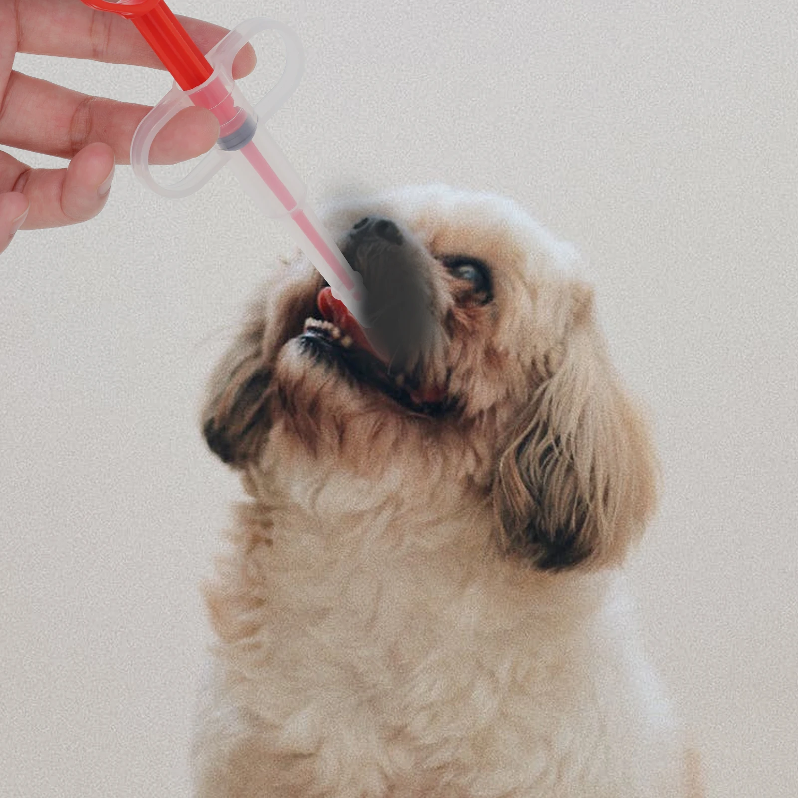 3 Pcs Pet Feeder Medicine Cat Feeders Feeding Tools Dog Care Puppy Pills Dispensers Supply Kitten
3 Pcs Pet Feeder Medicine Cat Feeders Feeding Tools Dog Care Puppy Pills Dispensers Supply Kitten