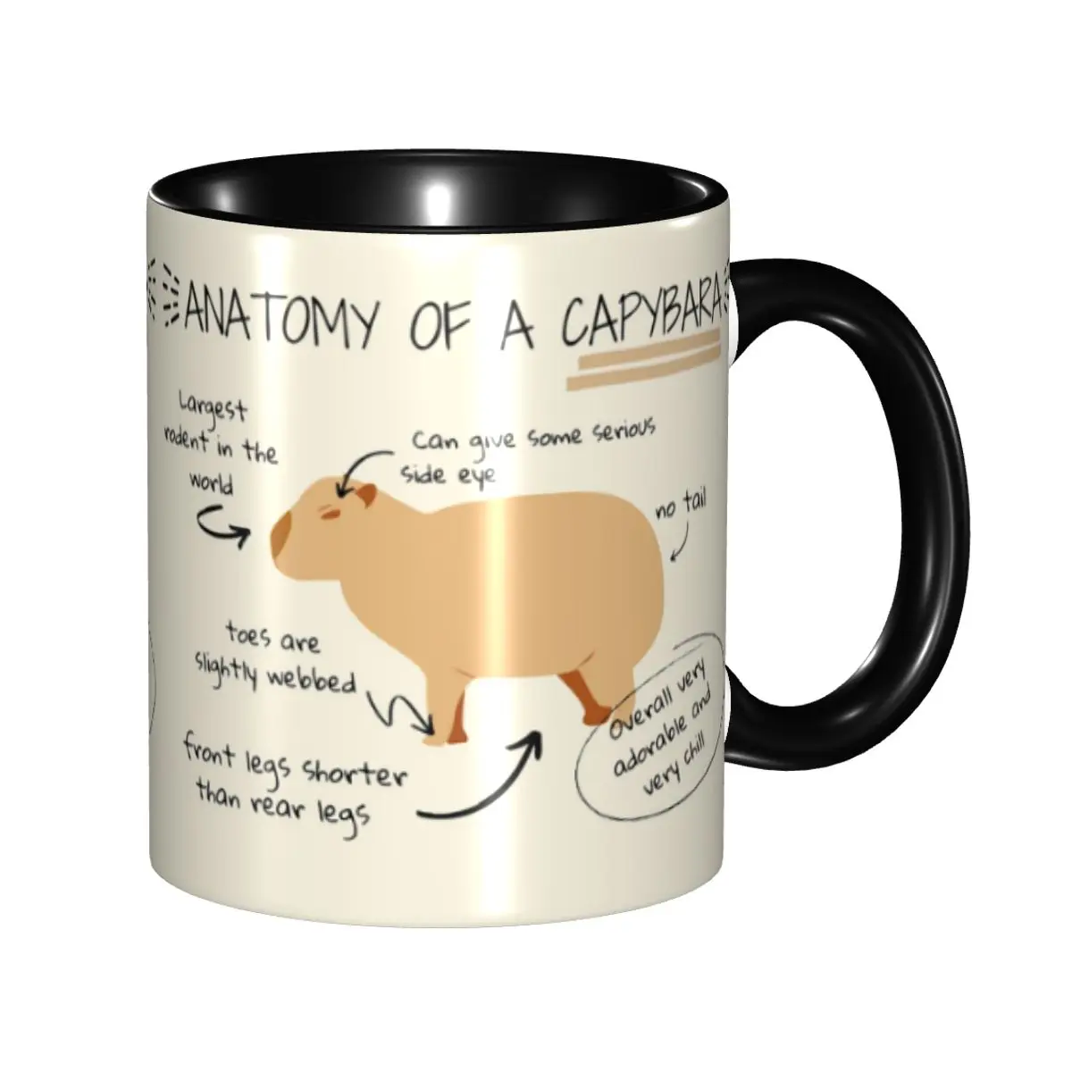 DIY Anatomy Of A Capybara Ceramic Mugs Customized Coffee Cup Creative Gift
DIY Anatomy Of A Capybara Ceramic Mugs Customized Coffee Cup Creative Gift
