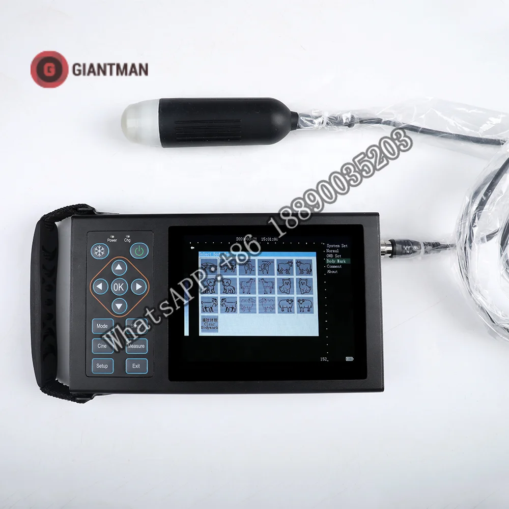 Cheap portable veterinary ultrasound scanner machine for animal pet pig sheep S6
Cheap portable veterinary ultrasound scanner machine for animal pet pig sheep S6