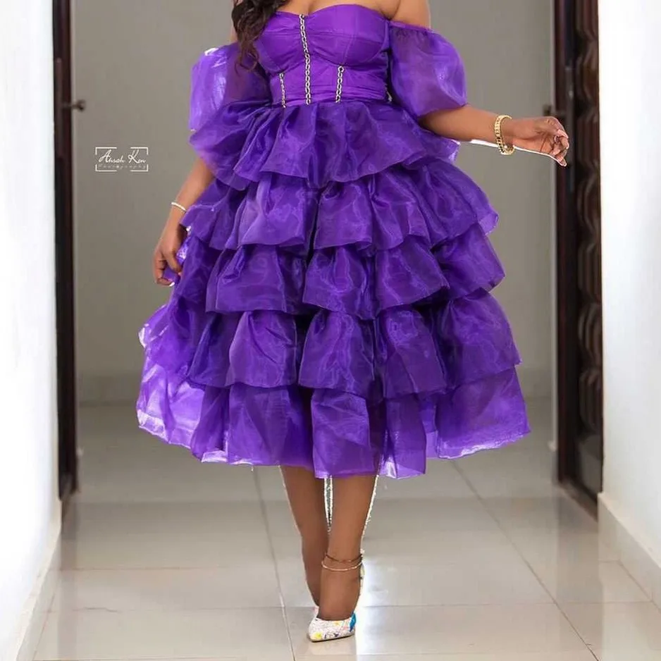 Purple Woman Skirt Tutu Elastic Waistband Ankle Length Party Skirt Layered Custom Made Side Organza Skirts Women
Purple Woman Skirt Tutu Elastic Waistband Ankle Length Party Skirt Layered Custom Made Side Organza Skirts Women