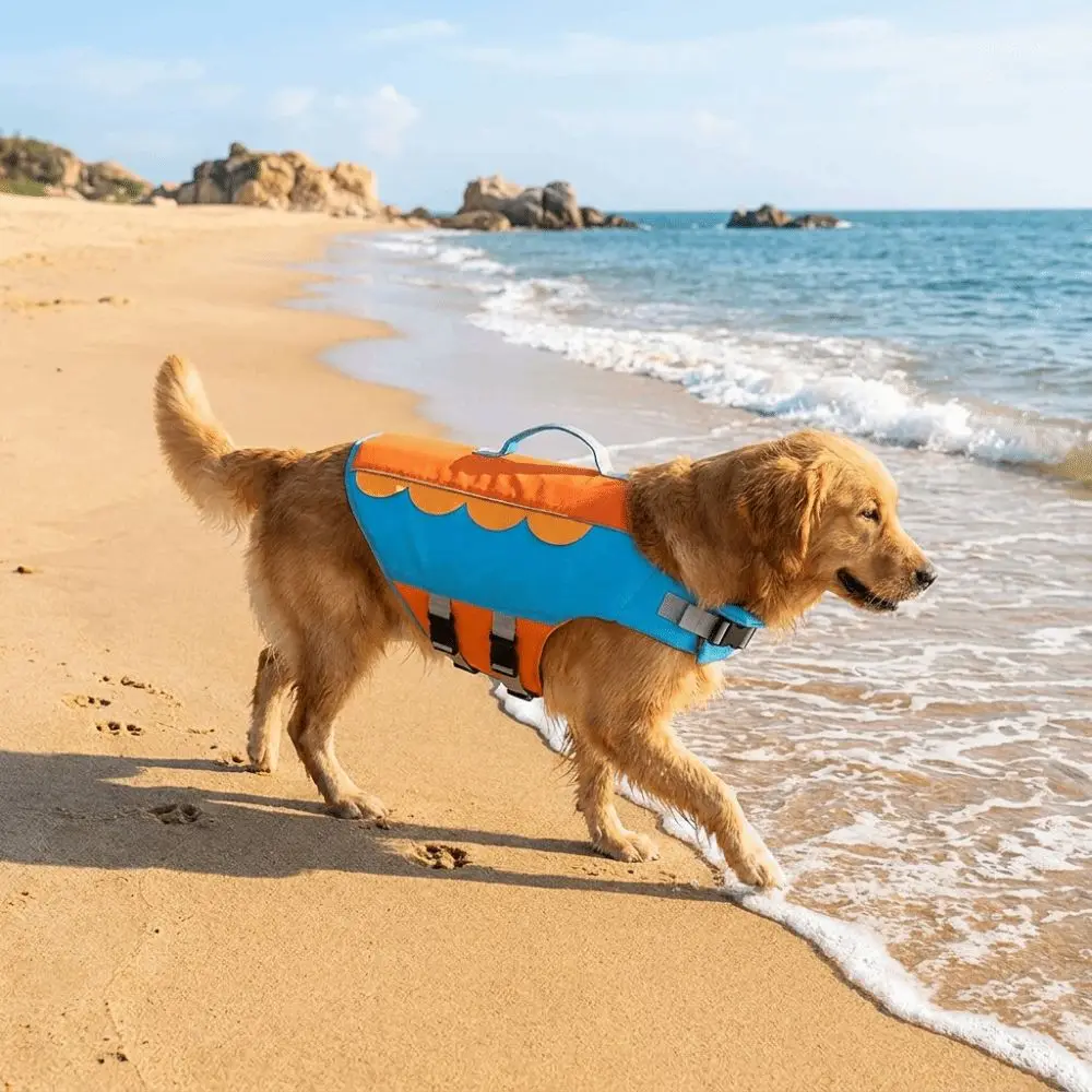 Adjustable Dog Life Jacket High Flotation Waterproof Dog Swimsuit Breathable Hand Carried Pet Buoyancy Suit Beach Seaside
Adjustable Dog Life Jacket High Flotation Waterproof Dog Swimsuit Breathable Hand Carried Pet Buoyancy Suit Beach Seaside