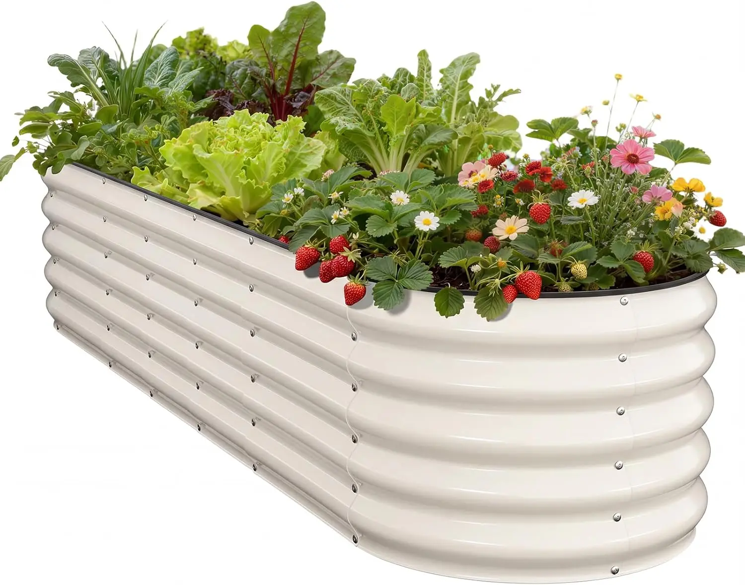 Galvanized Raised Garden Bed 8x2x1.5FT, Rust-Resistant Steel Planter Box for Vegetables, Herbs, Flowers, Easy Assembly
Galvanized Raised Garden Bed 8x2x1.5FT, Rust-Resistant Steel Planter Box for Vegetables, Herbs, Flowers, Easy Assembly