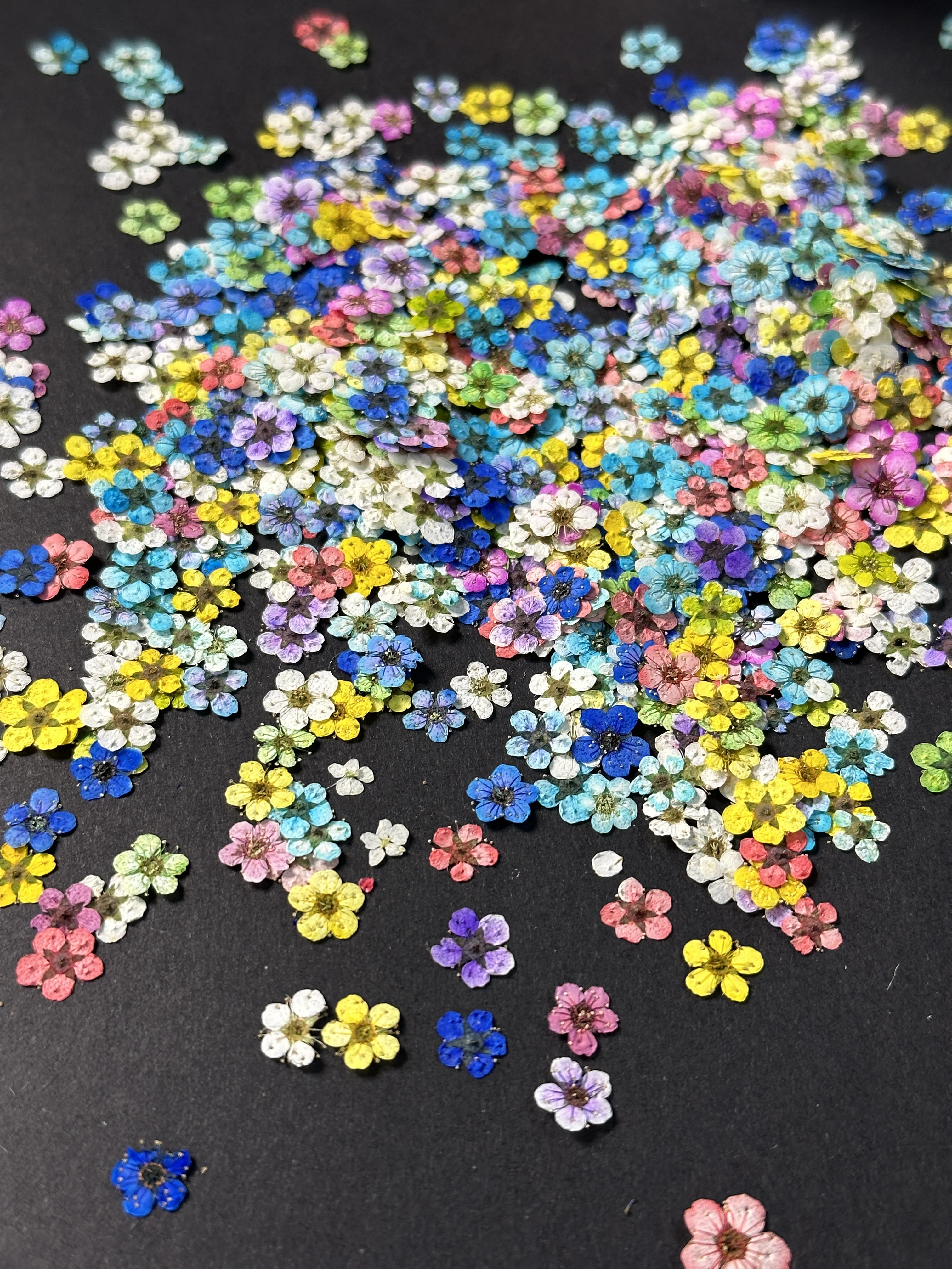 Daffodil Nail Art Dried Flowers 3D Crystal Real Flower Small Floral Pressed Flower Nail Decorations Flower Decoration Nail Art
Daffodil Nail Art Dried Flowers 3D Crystal Real Flower Small Floral Pressed Flower Nail Decorations Flower Decoration Nail Art