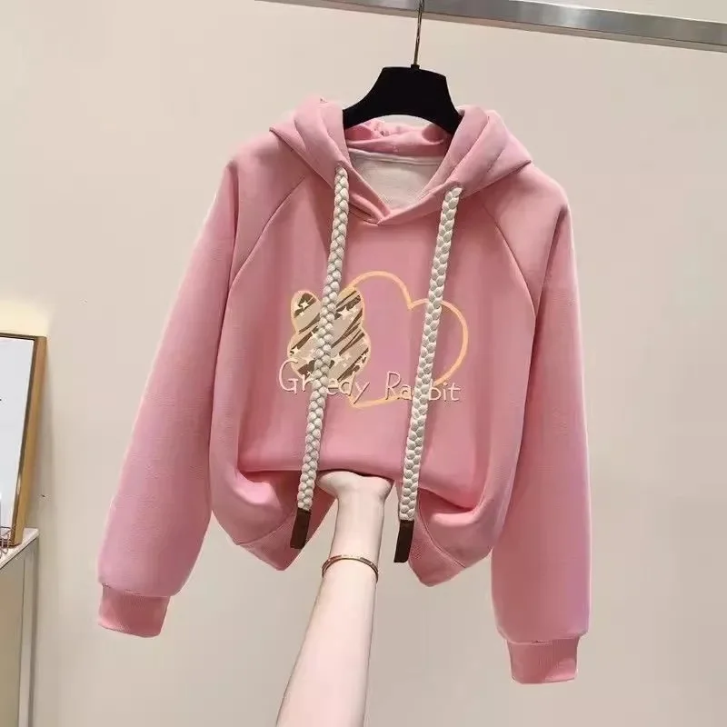 Fashion Pure Cotton Warm Hooded Hoodie Women 2025 NEW Spring Autumn Pullover Top Sweatshirt Korean Loose Jacket Female
Fashion Pure Cotton Warm Hooded Hoodie Women 2025 NEW Spring Autumn Pullover Top Sweatshirt Korean Loose Jacket Female