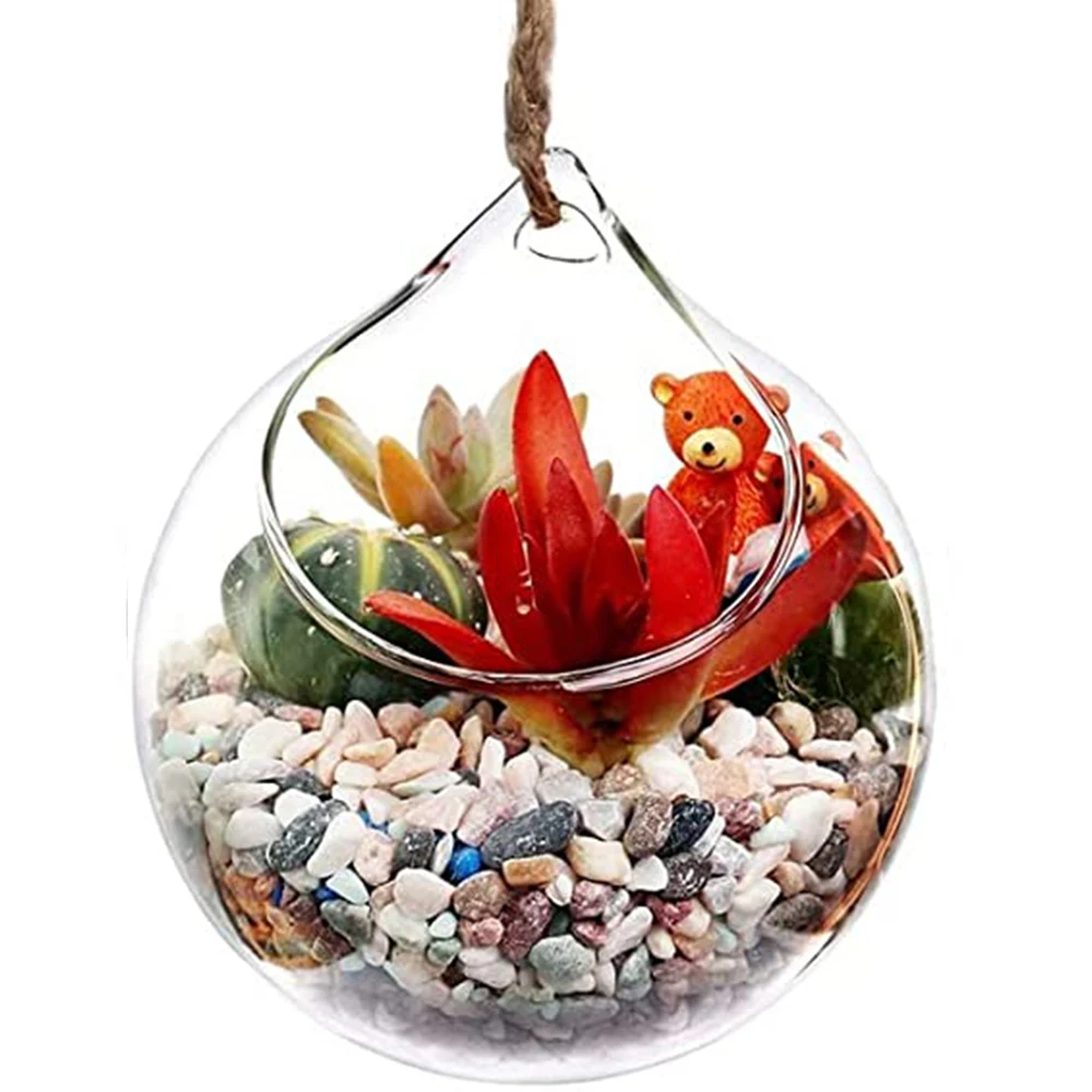 5 Pieces x Home DIY 80mm Glass Hooked Flower Pot Plant Holder Air Planting Incline Opening Vase Ball
5 Pieces x Home DIY 80mm Glass Hooked Flower Pot Plant Holder Air Planting Incline Opening Vase Ball