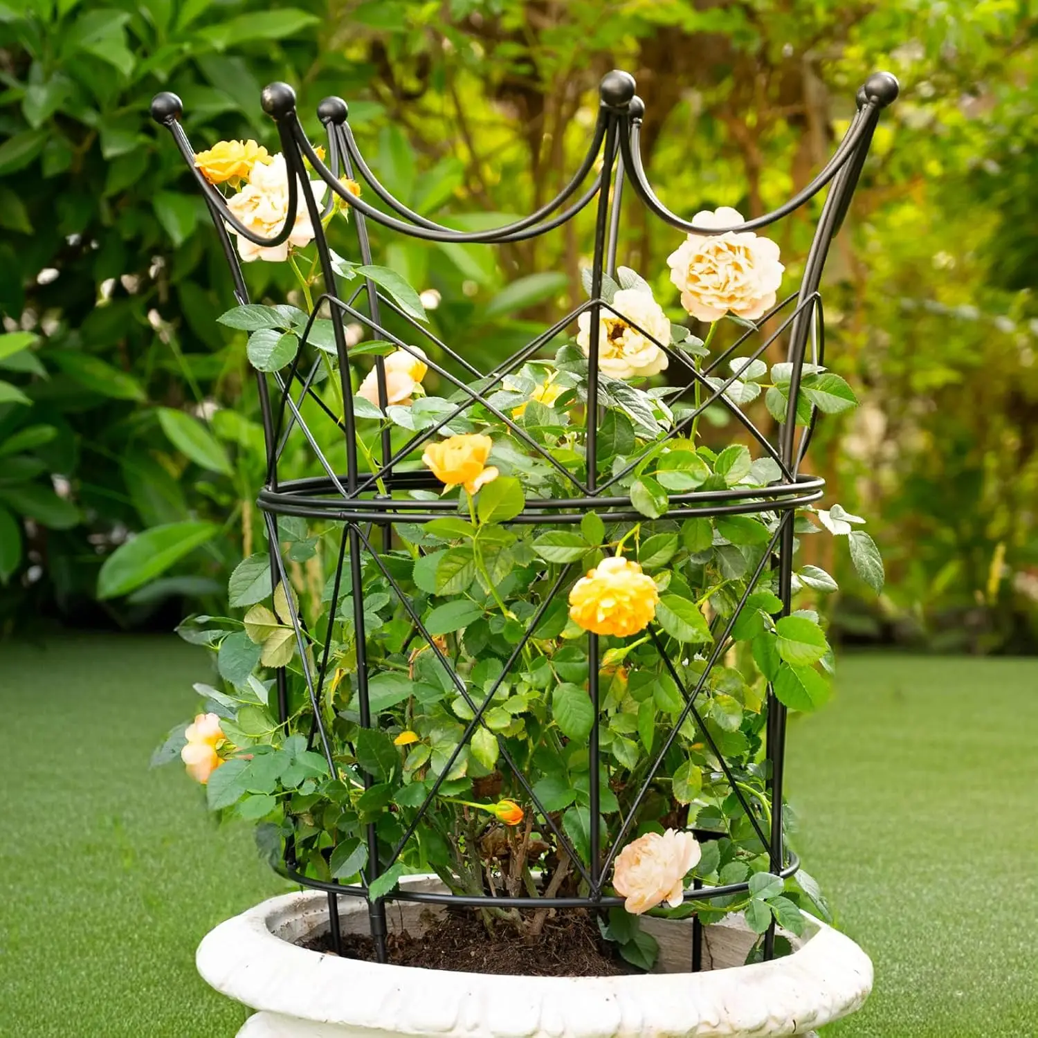 Large Metal Obelisk Trellis for Plant Supports, 18.5in x 22.9in - Durable Garden Cage for Peonies, Ideal Indoor & Outdoor Use
Large Metal Obelisk Trellis for Plant Supports, 18.5in x 22.9in - Durable Garden Cage for Peonies, Ideal Indoor & Outdoor Use