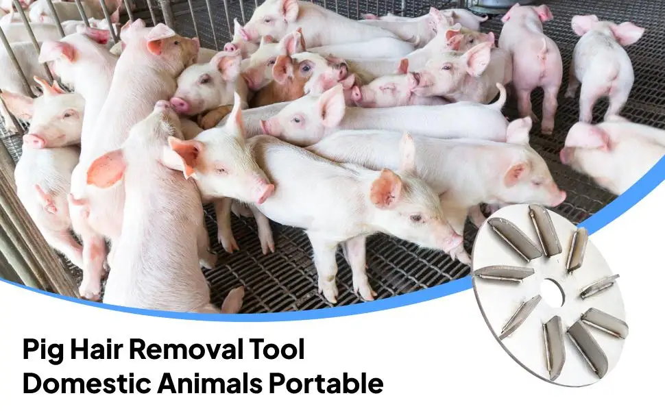 Steel Pig Hair Scraper Multi Gear Hair Remover Tool Portable Shaving Disc for Livestock Cattle Sheep Farm
Steel Pig Hair Scraper Multi Gear Hair Remover Tool Portable Shaving Disc for Livestock Cattle Sheep Farm