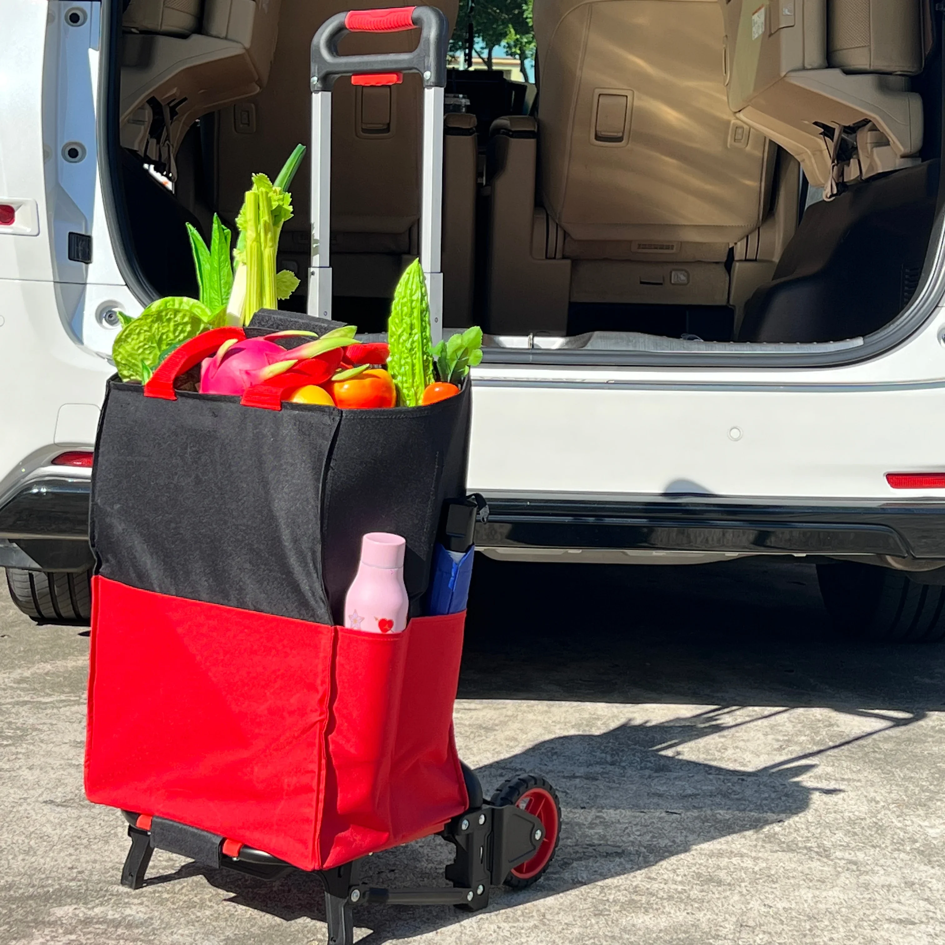 Aluminum Shopping Trolleys Carts Folding Hand Truck Luggage Carts with Two Wheels
Aluminum Shopping Trolleys Carts Folding Hand Truck Luggage Carts with Two Wheels