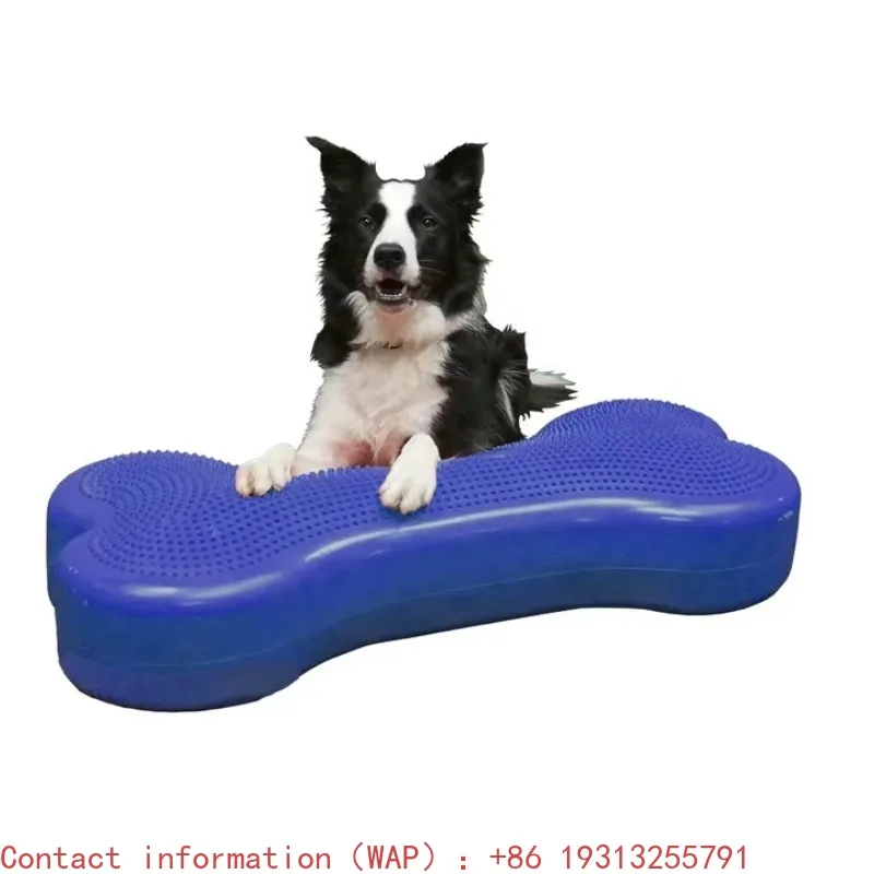 【2026】Dog Training Balance Bones Agility Training Equipment
【2026】Dog Training Balance Bones Agility Training Equipment