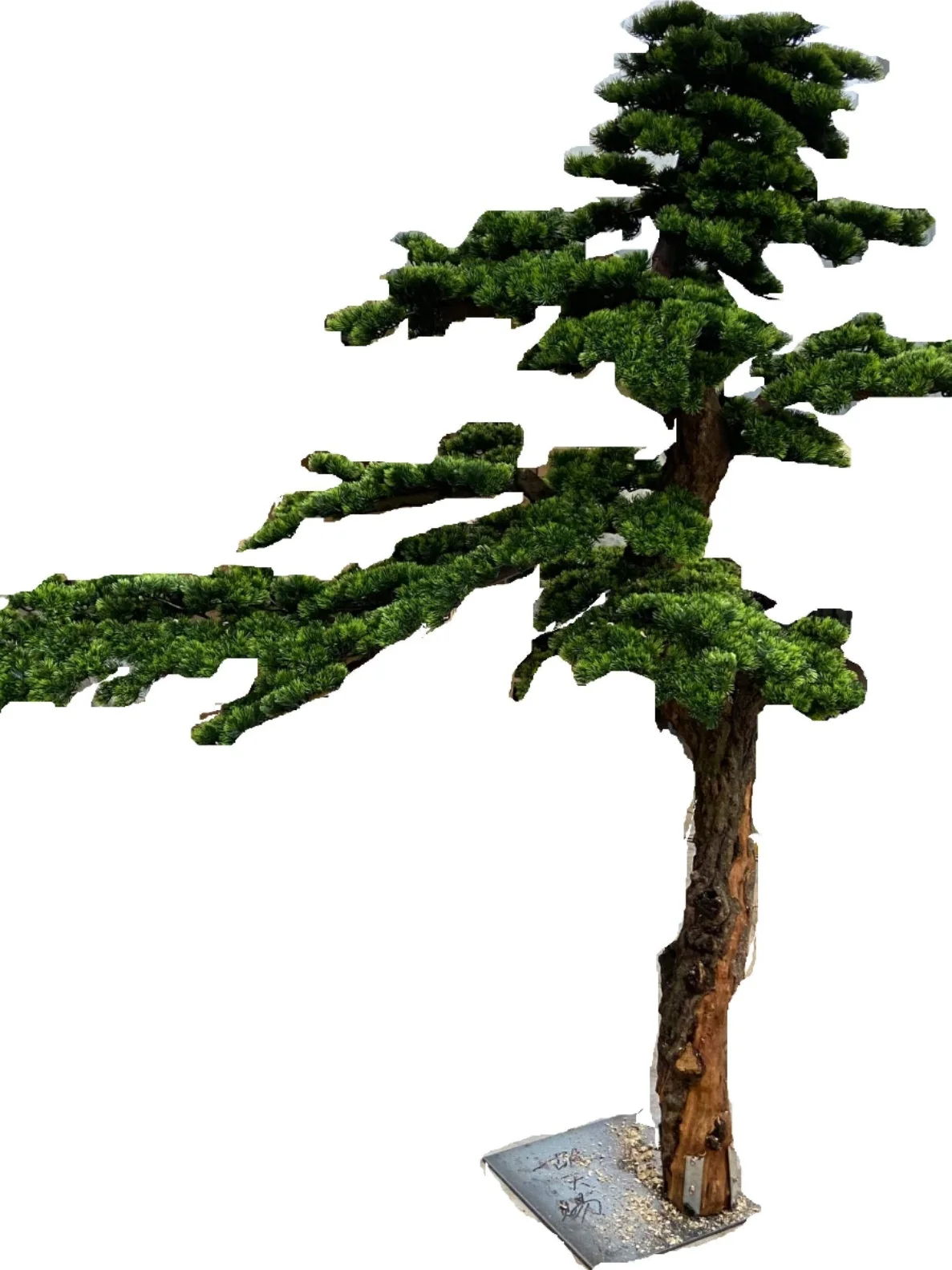 Simulated welcome pine tree indoor and outdoor decoration and landscaping simulation tree
Simulated welcome pine tree indoor and outdoor decoration and landscaping simulation tree