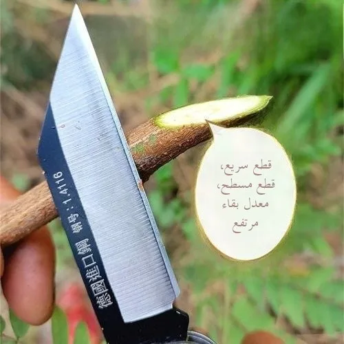 High Hardness Foldable Grafting Bud Splicing Knife Fruit Tree Gardening Tool Handcraft Wooden Handle Home Essential Tool
High Hardness Foldable Grafting Bud Splicing Knife Fruit Tree Gardening Tool Handcraft Wooden Handle Home Essential Tool