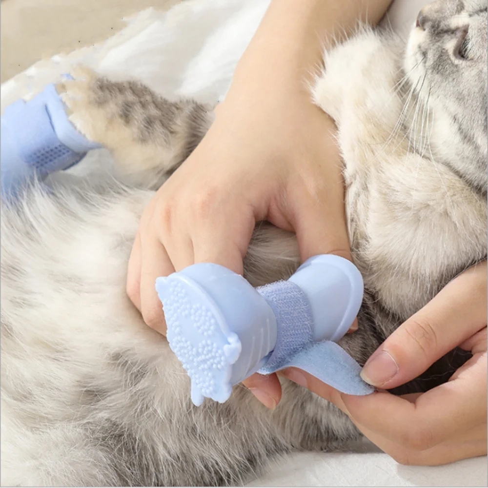 4pcs/Set Dog Rain Boots Waterproof Anti-Slip Outdoor Shoes for Small Medium Dog Puppy Ankle Boots Wear-Resistant Pet Accessories
4pcs/Set Dog Rain Boots Waterproof Anti-Slip Outdoor Shoes for Small Medium Dog Puppy Ankle Boots Wear-Resistant Pet Accessories