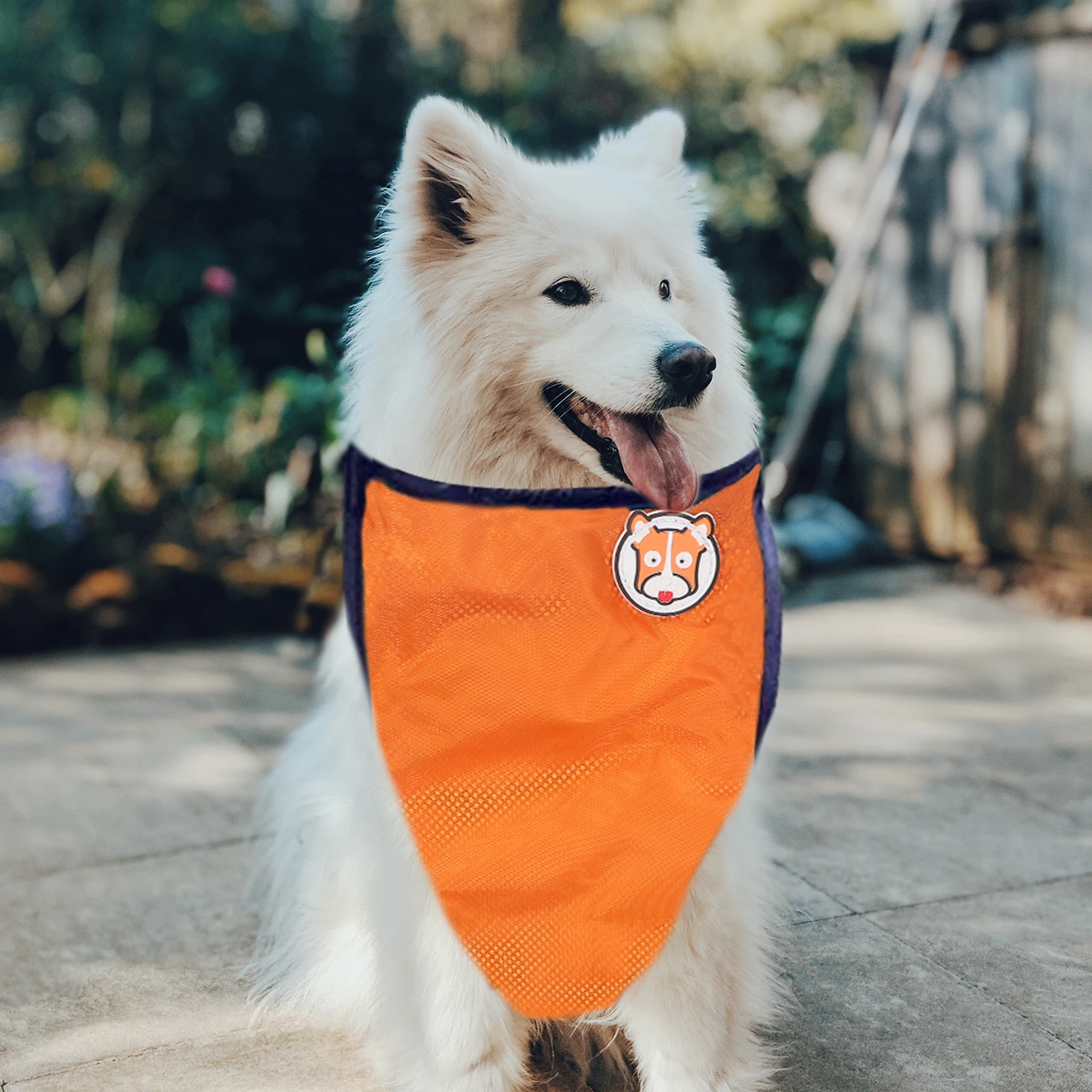 Waterproof Clothes Small Dog Raincoat Vests for Medium Dogs Coats Puppy Large Pet Keep Warm 
Waterproof Clothes Small Dog Raincoat Vests for Medium Dogs Coats Puppy Large Pet Keep Warm