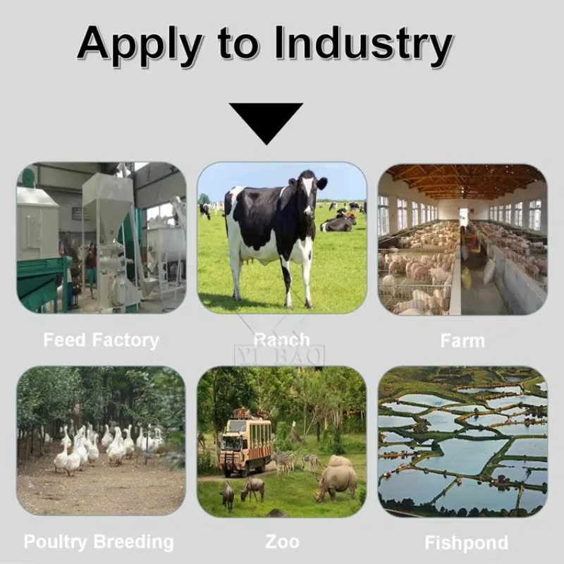 Self Propelled Animal Sheep Pig Cow Complete Feeds Mixer Machine
Self Propelled Animal Sheep Pig Cow Complete Feeds Mixer Machine