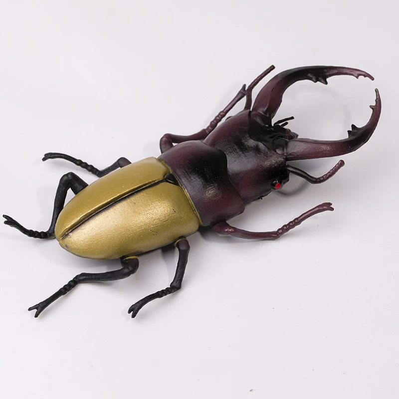 Realistic Insect Animals Model Ornaments Wild Insect Beetle Action Figures Science Education Lifelike Insect Figurines Boys Toys
Realistic Insect Animals Model Ornaments Wild Insect Beetle Action Figures Science Education Lifelike Insect Figurines Boys Toys