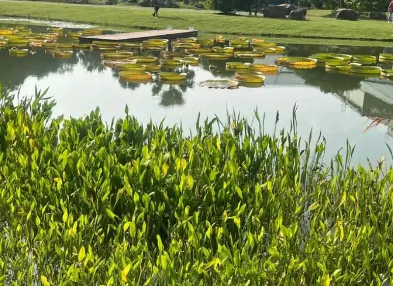 For Lexus RX PHEV paint pen Supplies Modification Accessories Car paint scratch repair car scratch remover Paint repair set
For Lexus RX PHEV paint pen Supplies Modification Accessories Car paint scratch repair car scratch remover Paint repair set