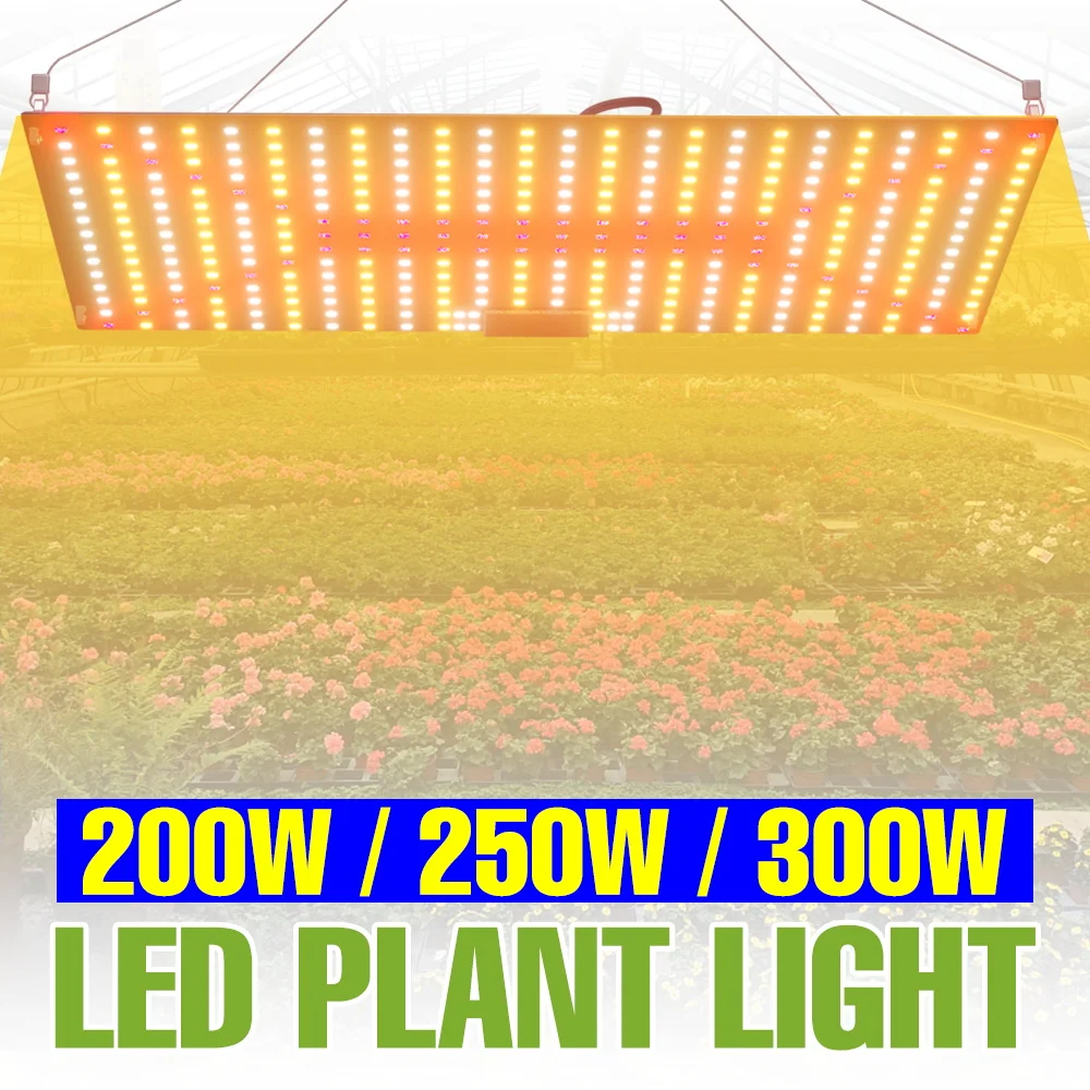 300W LED Grow Light Full Spectrum Quantum Board Plant Lamp UV/IR Indoor Greenhouse Tent Vegs Fruits Cultivation Lamps US/EU Plug
300W LED Grow Light Full Spectrum Quantum Board Plant Lamp UV/IR Indoor Greenhouse Tent Vegs Fruits Cultivation Lamps US/EU Plug