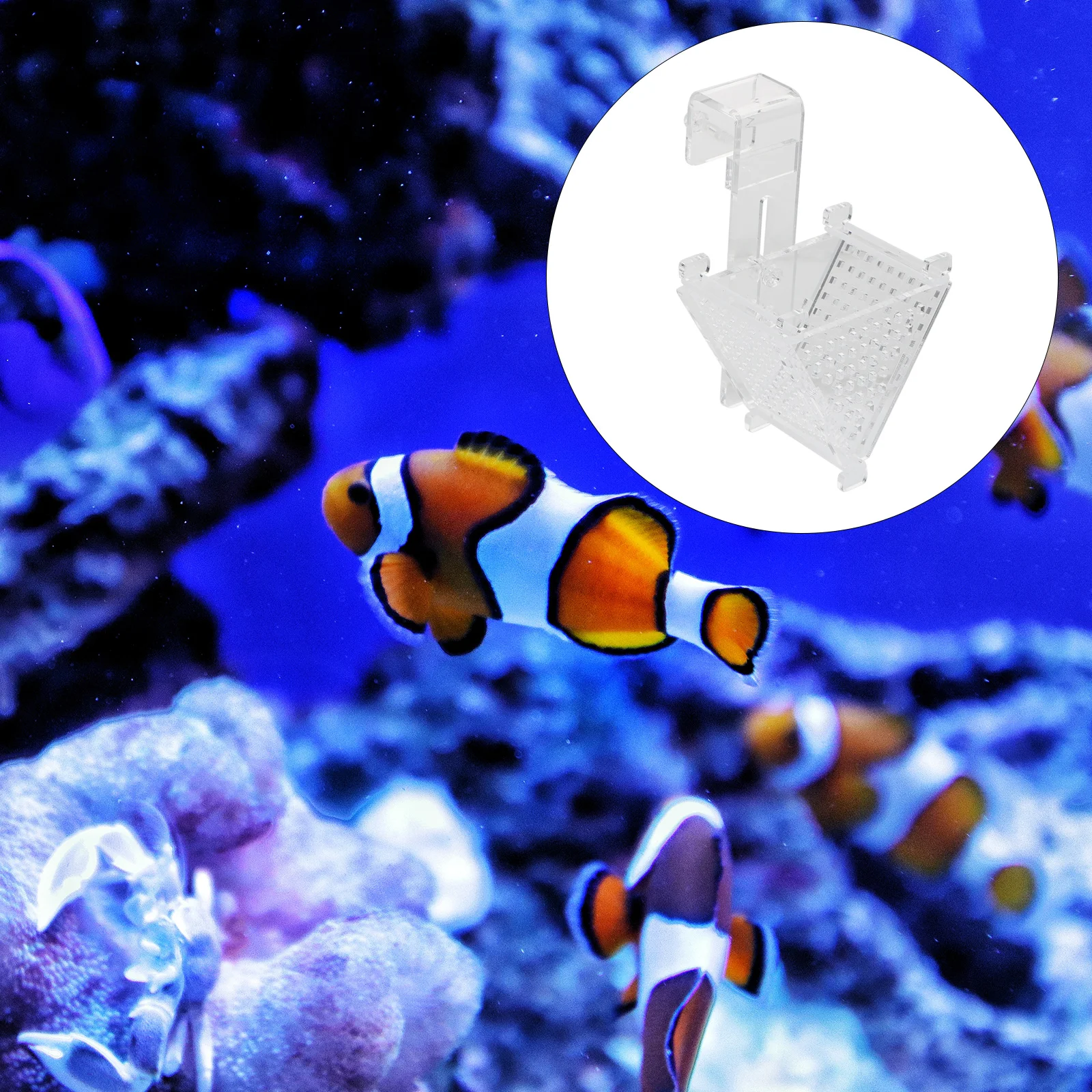 Red Worm Feeding Cup Acrylic Bait Aquarium Fish Shrimp High Brightness Food Safe Inverted Triangle Bottom Strip Design Fresh
Red Worm Feeding Cup Acrylic Bait Aquarium Fish Shrimp High Brightness Food Safe Inverted Triangle Bottom Strip Design Fresh