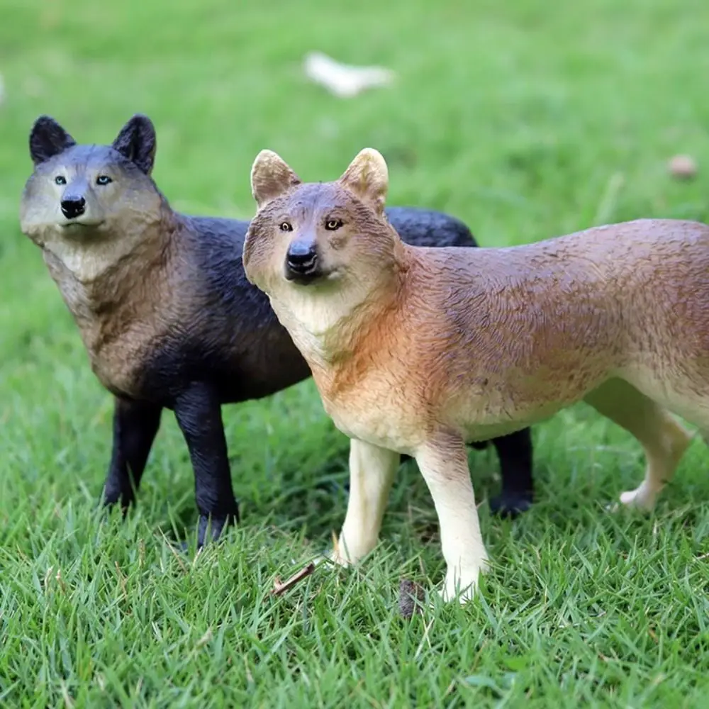 Plastic Simulated Solid Animal Model Handmad Shadow Wolf Wolf Simulation Animal Toy Statue Animals Figure
Plastic Simulated Solid Animal Model Handmad Shadow Wolf Wolf Simulation Animal Toy Statue Animals Figure