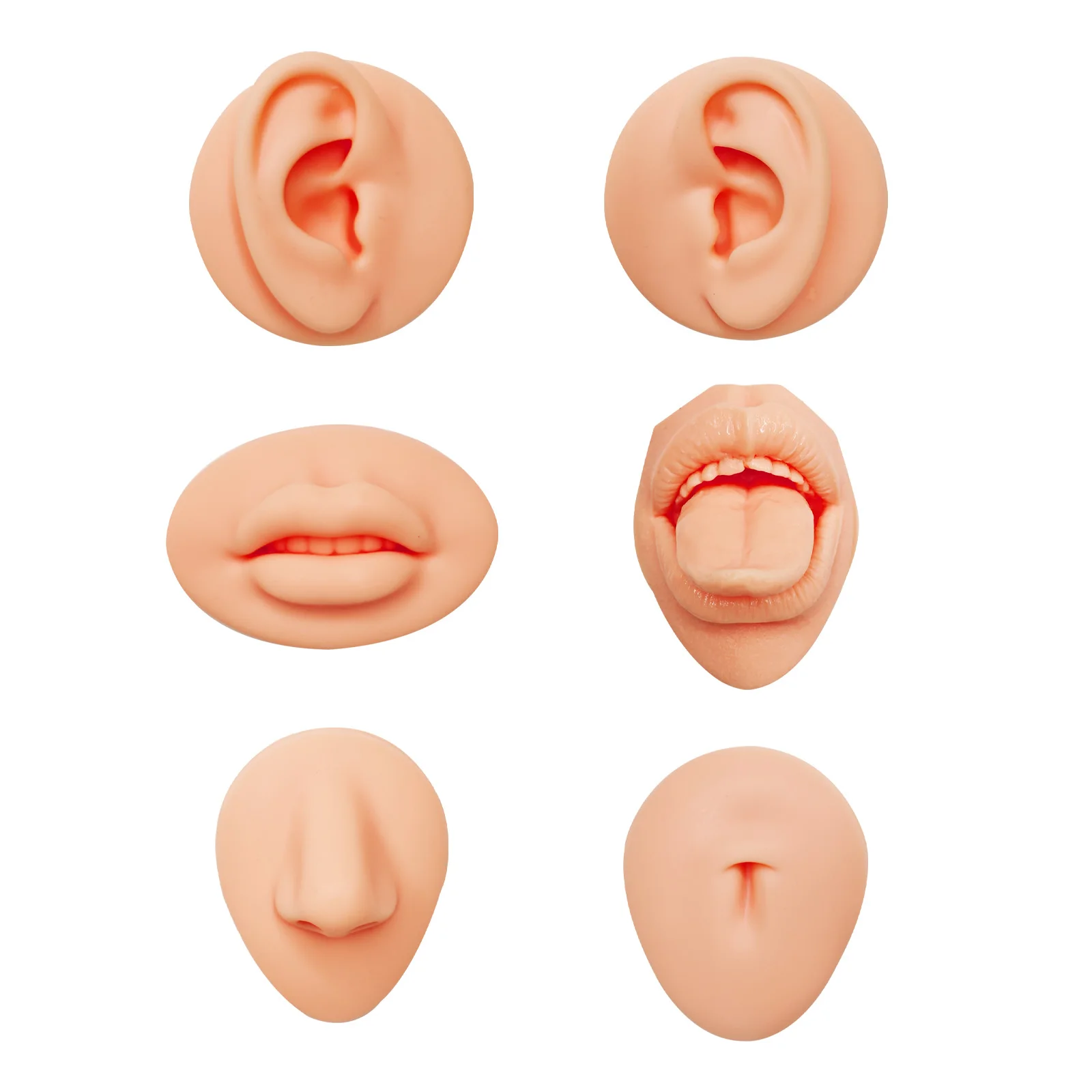 Simulate gui 'Jiao five sense organs model perforation, left and right ear, nose, mouth, navel, tongue, exercise teaching prop
Simulate gui 'Jiao five sense organs model perforation, left and right ear, nose, mouth, navel, tongue, exercise teaching prop