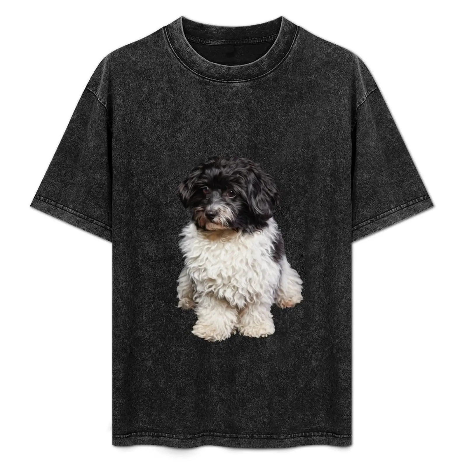 Cute Black And White Havanese Dog Painting T-Shirt Anti-Wrinkle Short Sleeve T-Shirt
Cute Black And White Havanese Dog Painting T-Shirt Anti-Wrinkle Short Sleeve T-Shirt