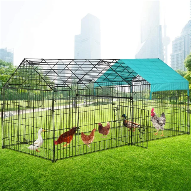 Walk In Chicken Coop for outdoor hens outdoor large chicken coop Henhouse For eggs Up To 15-20 Chickens
Walk In Chicken Coop for outdoor hens outdoor large chicken coop Henhouse For eggs Up To 15-20 Chickens
