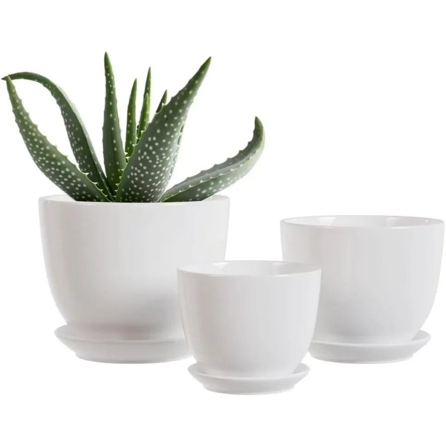 White Ceramic Plant PotsSet of 3 Indoor Flower Pot with Saucers Small to Medium Sized Planters for Plants Round Modern Garden P
White Ceramic Plant PotsSet of 3 Indoor Flower Pot with Saucers Small to Medium Sized Planters for Plants Round Modern Garden P