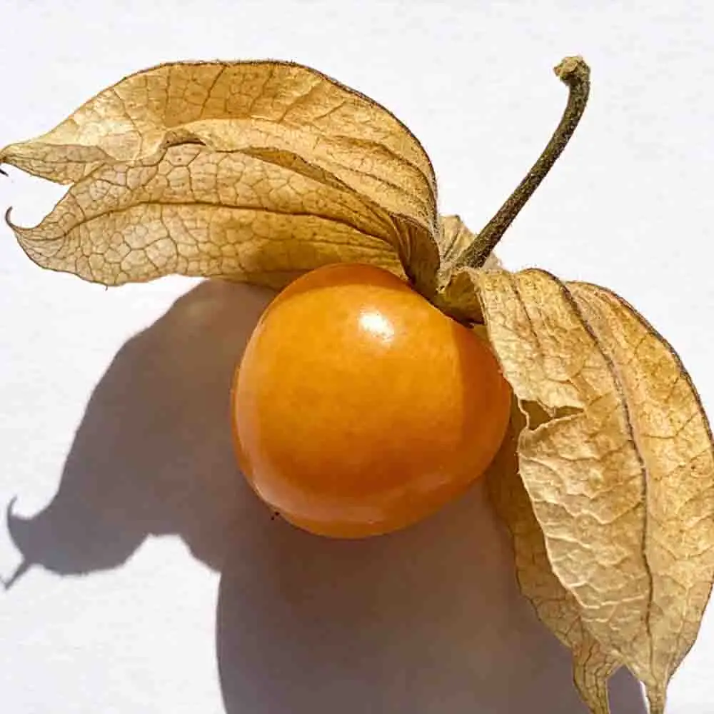 Бесколлекторный двигатель HobbyWing QuicRun Outer 3530 SL 1700KV 2200KV для радиоуправляемых моделей автомобилей 1/10 и 1/12
Бесколлекторный двигатель HobbyWing QuicRun Outer 3530 SL 1700KV 2200KV для радиоуправляемых моделей автомобилей 1/10 и 1/12