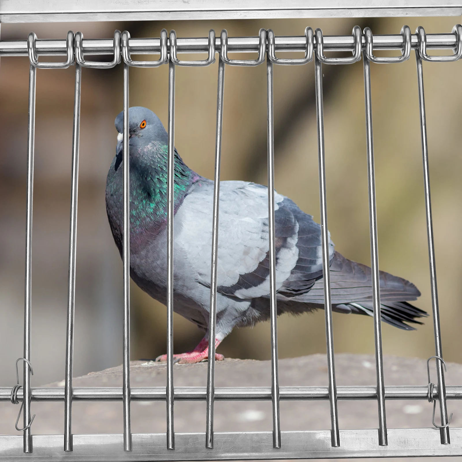Stainless Steel Pigeon Cage Door Durable Bird Entrance Automatic Chicken Coop Gate Pet Supply pigeon nest door bird cage bar
Stainless Steel Pigeon Cage Door Durable Bird Entrance Automatic Chicken Coop Gate Pet Supply pigeon nest door bird cage bar
