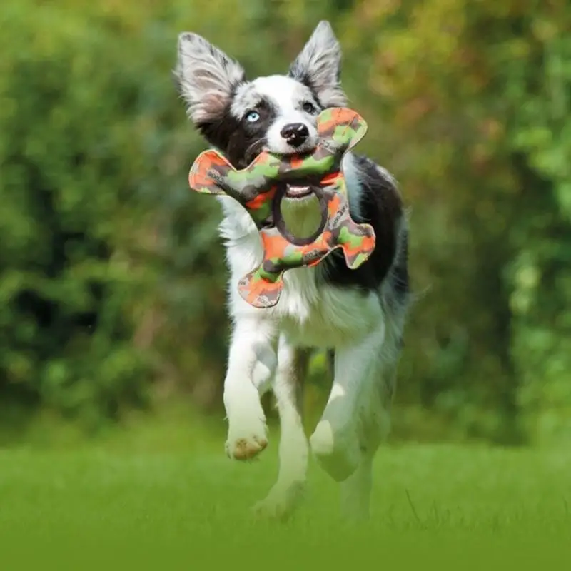 High End Camouflage Pet , Imported From Germany with Fun Design, Super Toughness, Helps Dogs Run 
High End Camouflage Pet , Imported From Germany with Fun Design, Super Toughness, Helps Dogs Run