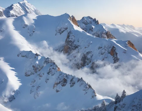 Bubble Envelope Bags 20Pcs Pink Self Seal Mailers Padded Shipping Envelopes With Bubbles Mailing Bages Shipping Gift Packages
Bubble Envelope Bags 20Pcs Pink Self Seal Mailers Padded Shipping Envelopes With Bubbles Mailing Bages Shipping Gift Packages