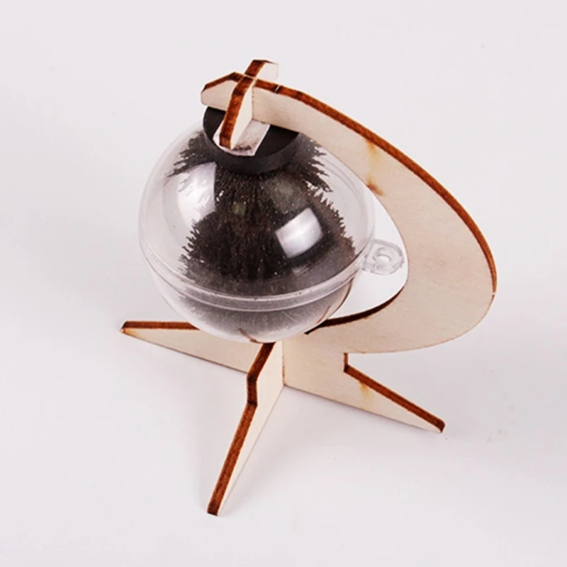 DIY Science Experiment Material Package Magnetic Field Ball Package for cience Experiment Magnetism Observation K1KF
DIY Science Experiment Material Package Magnetic Field Ball Package for cience Experiment Magnetism Observation K1KF