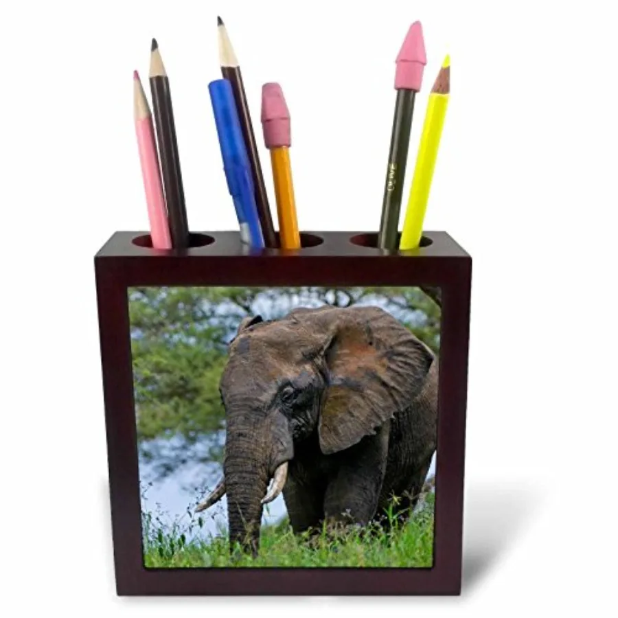 Держатель для ручек Elephant-Af21 Bba0045-Bill Bachmann, 5 дюймов, Кения, Национальный парк Амбосели, декоративные канцелярские принадлежности, керамика, цветной
Держатель для ручек Elephant-Af21 Bba0045-Bill Bachmann, 5 дюймов, Кения, Национальный парк Амбосели, декоративные канцелярские принадлежности, керамика, цветной