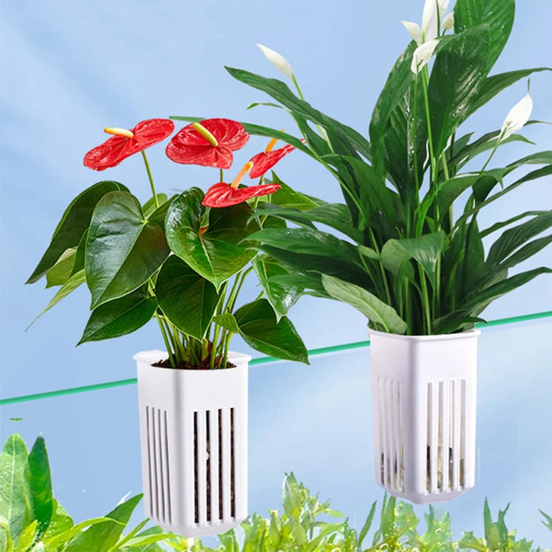 Aquarium Plant Holder Hangable Fish Tank Water Grass Planting Hydroponic Plant Basket Aquarium Planter Cups Wall Mounted Decor
Aquarium Plant Holder Hangable Fish Tank Water Grass Planting Hydroponic Plant Basket Aquarium Planter Cups Wall Mounted Decor