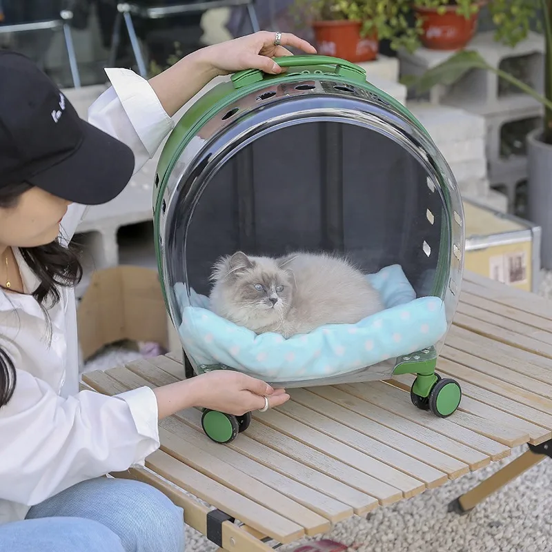 Transparent Space Capsule Pet Rolling Carrier | Airline Approved for Cats & Small Dogs 360° View Pet Trolley
Transparent Space Capsule Pet Rolling Carrier | Airline Approved for Cats & Small Dogs 360° View Pet Trolley