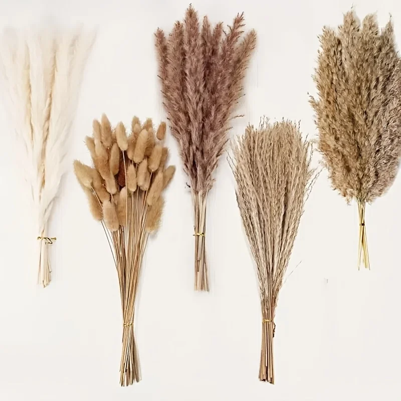 105pcs Dried Flowers Pampas Bunny Tails Bouquet Home Vase Living Decor Artificial Flower Pampa Reeds Wedding Festival Decoration
105pcs Dried Flowers Pampas Bunny Tails Bouquet Home Vase Living Decor Artificial Flower Pampa Reeds Wedding Festival Decoration