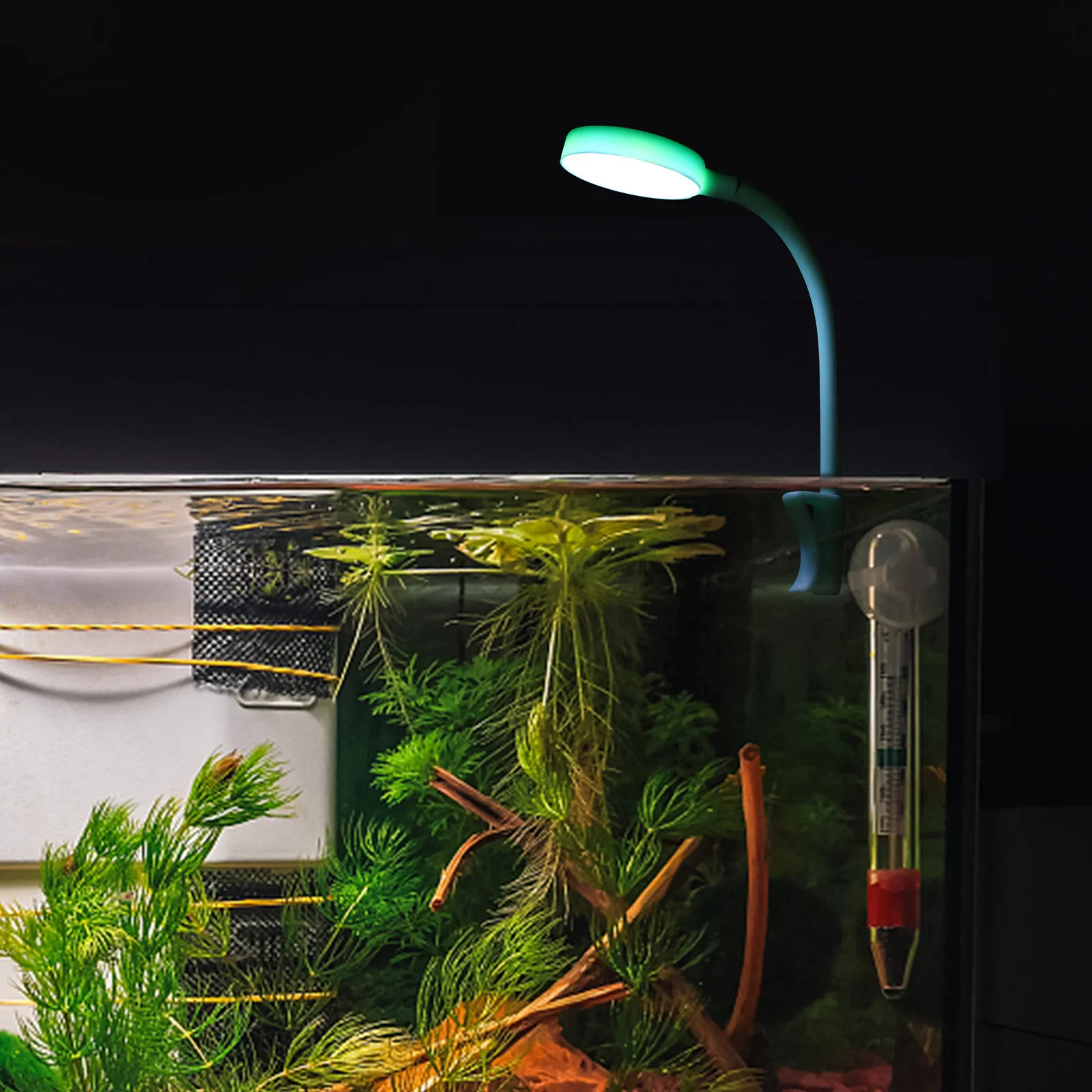LED Aquarium Light for Fish Tank Plants Mini USB Submersible Lighting High Brightness Promoting Photosynthesis Small Marine
LED Aquarium Light for Fish Tank Plants Mini USB Submersible Lighting High Brightness Promoting Photosynthesis Small Marine