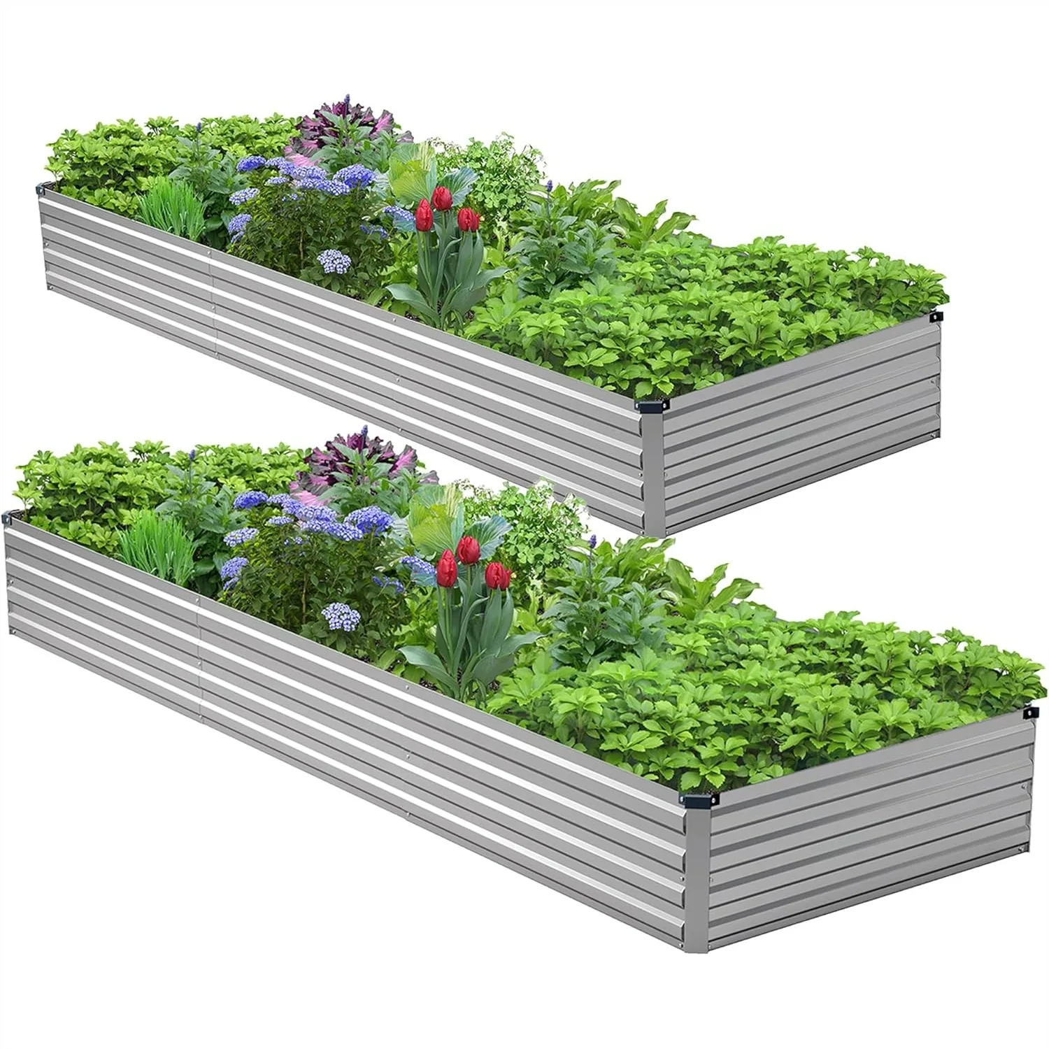 Galvanized Raised Garden Bed Kit 9x3x1ft, Metal Planter Box for Vegetables, Flowers, Herbs, Durable Rust-Resistant Outdoor Patio
Galvanized Raised Garden Bed Kit 9x3x1ft, Metal Planter Box for Vegetables, Flowers, Herbs, Durable Rust-Resistant Outdoor Patio