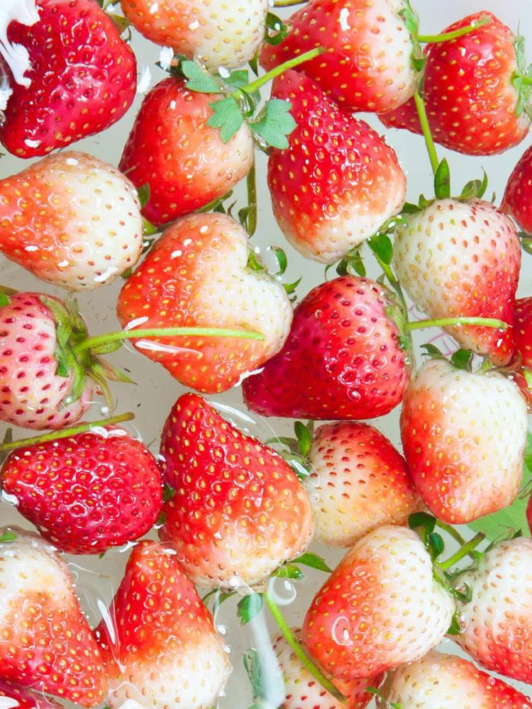 110 В 220 В автоматический блендер для мороженого с пластиковым миксером вихревой шейкер для мороженого блендер миксер
110 В 220 В автоматический блендер для мороженого с пластиковым миксером вихревой шейкер для мороженого блендер миксер