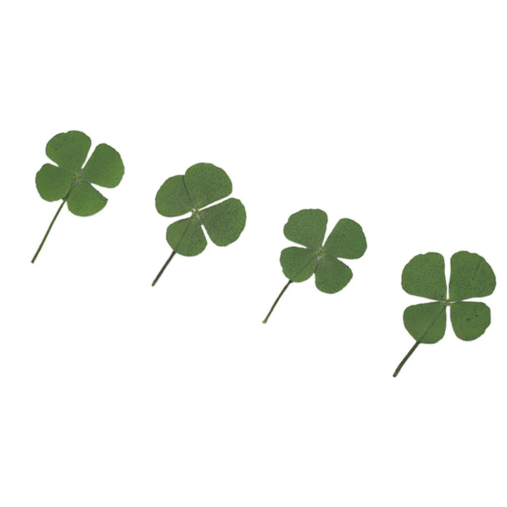 12 Pcs Dried Plants for Jewelry Accessories Epoxy Phone Case Craft Materials Pendant DIY Decorations
12 Pcs Dried Plants for Jewelry Accessories Epoxy Phone Case Craft Materials Pendant DIY Decorations