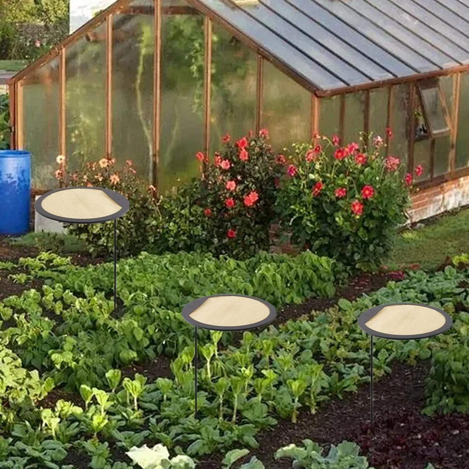 Регулируемый портативный тканевый зонт для растений, сверхмощный уличный солнцезащитный козырек с цветами, выдвижной дышащий УФ-защита для растений
Регулируемый портативный тканевый зонт для растений, сверхмощный уличный солнцезащитный козырек с цветами, выдвижной дышащий УФ-защита для растений