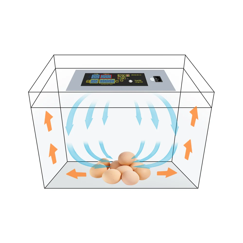 Mini Automatic Incubator Controller Digital for Chicken Duck Turkey Ostrich Eggs
Mini Automatic Incubator Controller Digital for Chicken Duck Turkey Ostrich Eggs