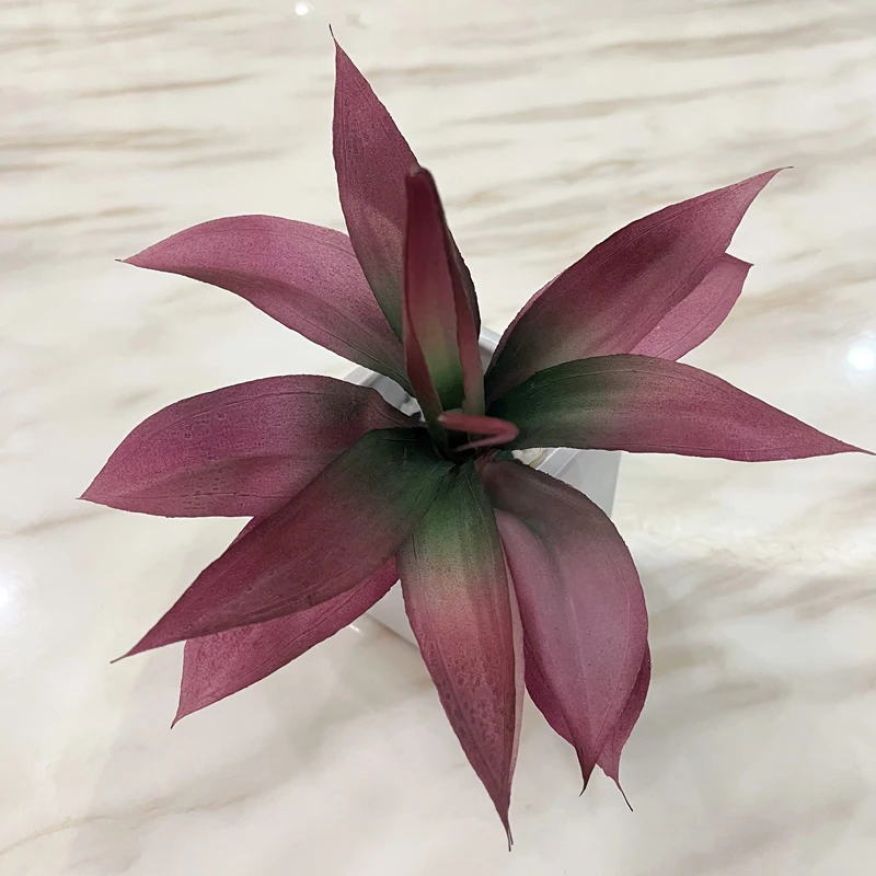 Artificial Succulent Plant Rooster Tail Green Plant Indoor Landscape Decoration Wall Planting Material Wall Decoration
Artificial Succulent Plant Rooster Tail Green Plant Indoor Landscape Decoration Wall Planting Material Wall Decoration