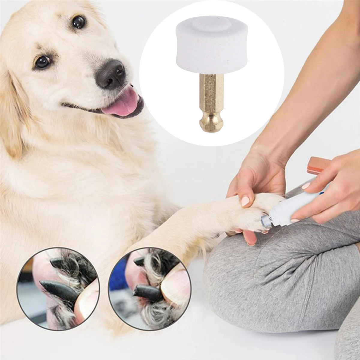 Electric Nail Grinder Head for Pet Paws Grooming Trimmer Durable Long Lasting Safe Polisher Wheel Dog Accessories
Electric Nail Grinder Head for Pet Paws Grooming Trimmer Durable Long Lasting Safe Polisher Wheel Dog Accessories